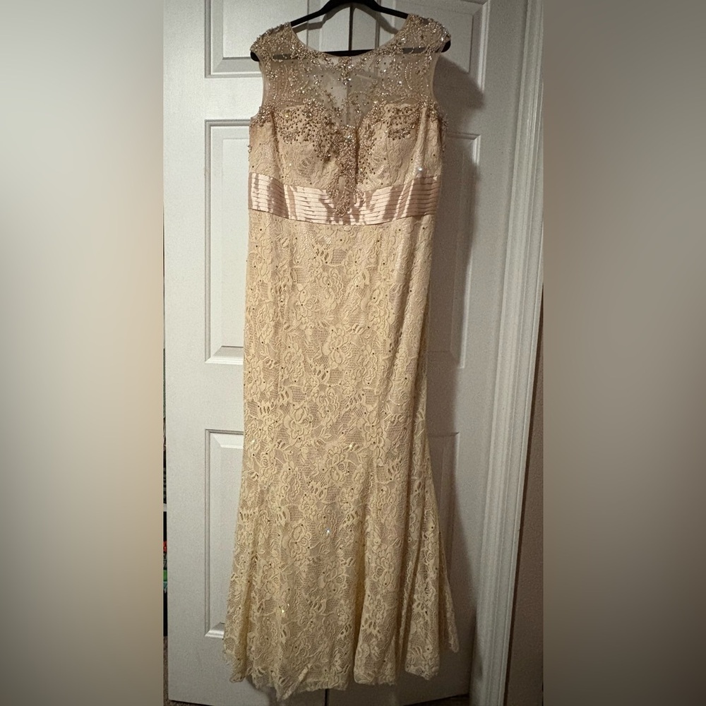 Lace Champagne Gown🤍